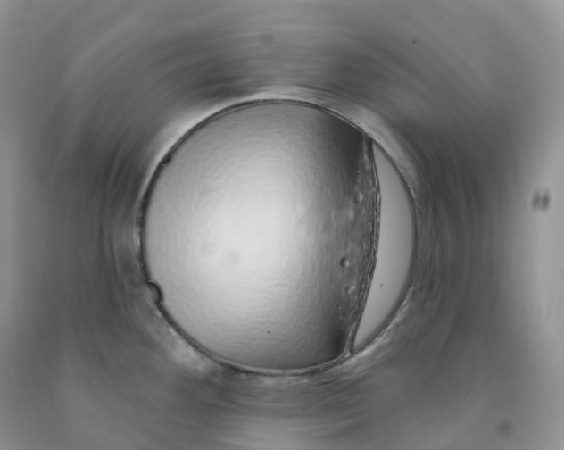 X0000091331292200709071149
