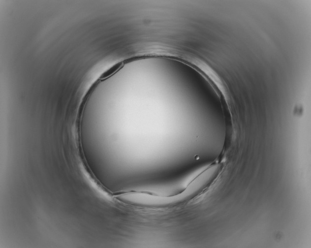 X0000091331293200709071149