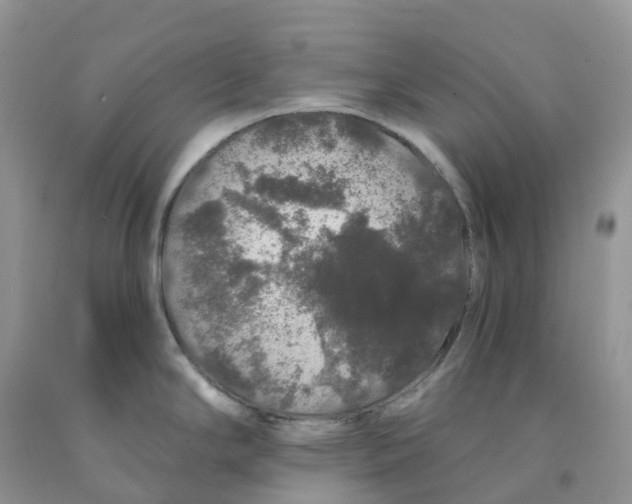 X0000091331294200709071149