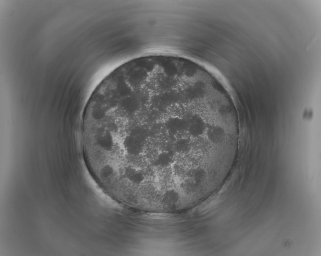 X0000091331295200709071149