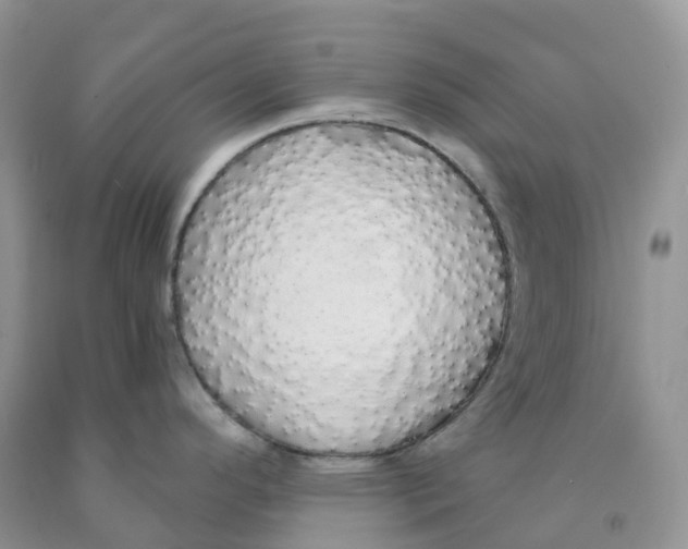 X0000091331296200709071149