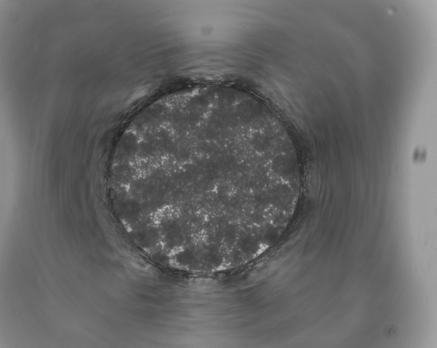 X0000091331297200709071148