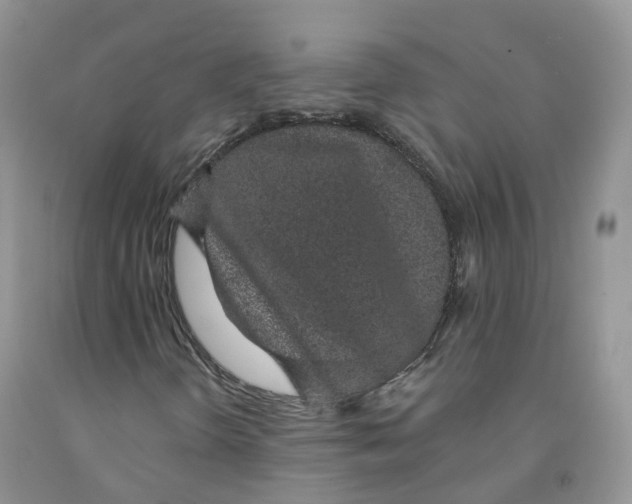 X0000091331298200709071148