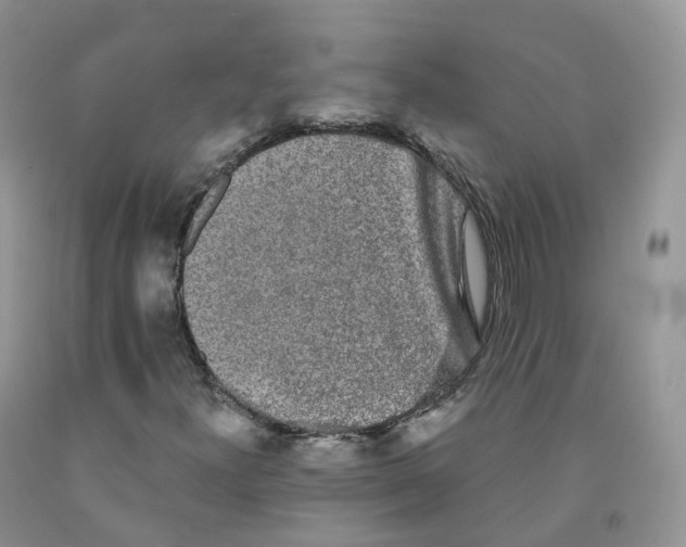 X0000091331300200709071148