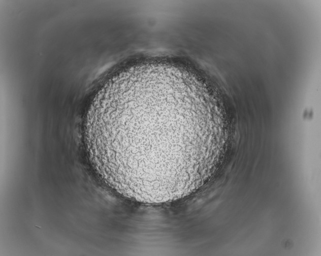 X0000091331301200709071148