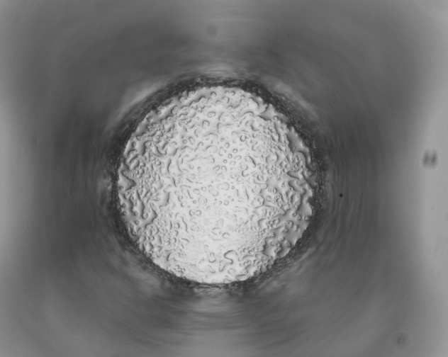 X0000091331302200709071148