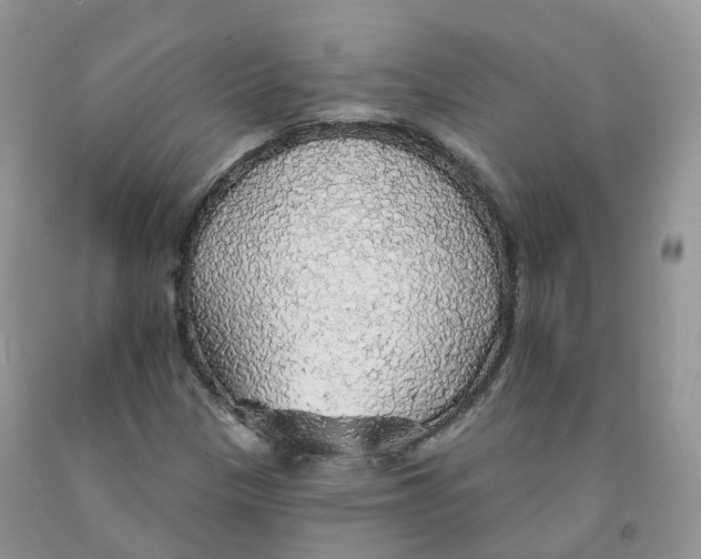 X0000091331305200709071148