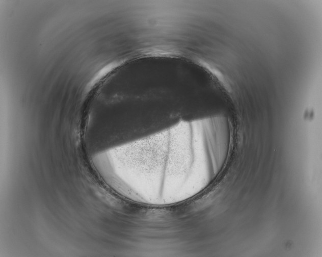 X0000091331306200709071148