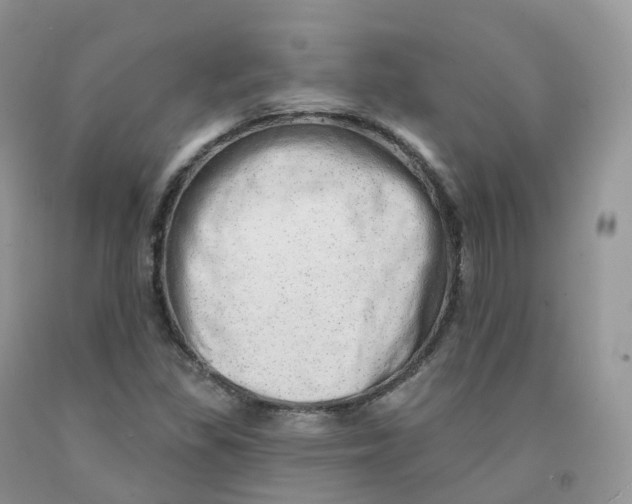X0000091331309200709071148