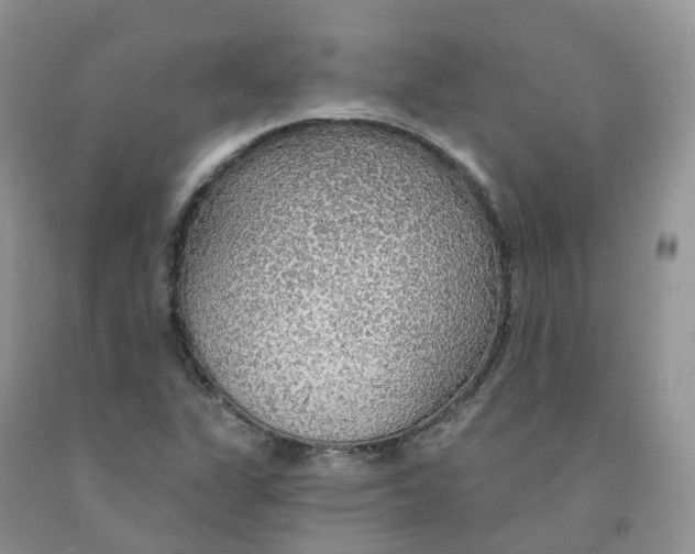 X0000091331311200709071148