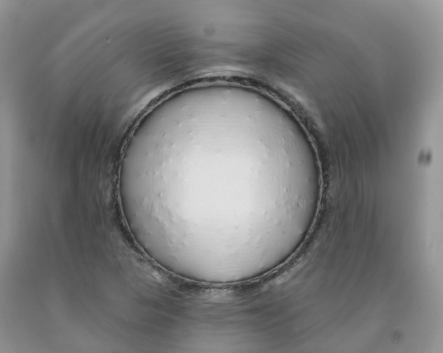 X0000091331313200709071148
