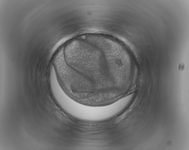 X0000091331314200709071148