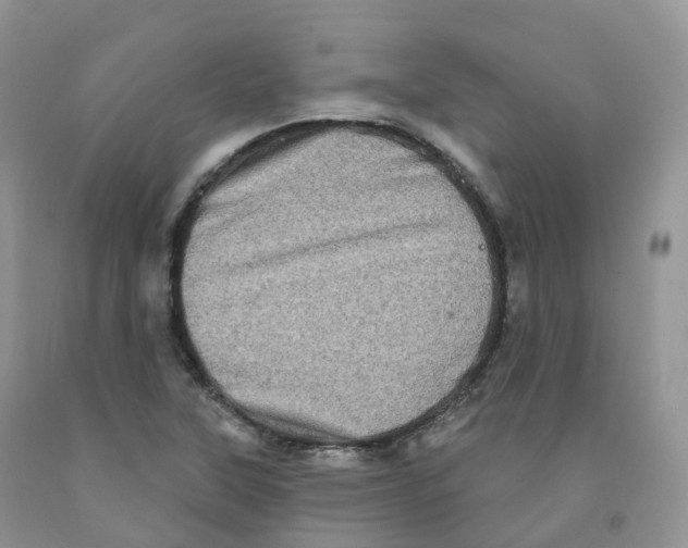 X0000091331315200709071148