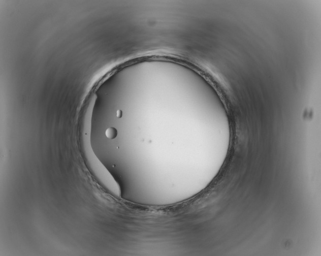 X0000091331316200709071148