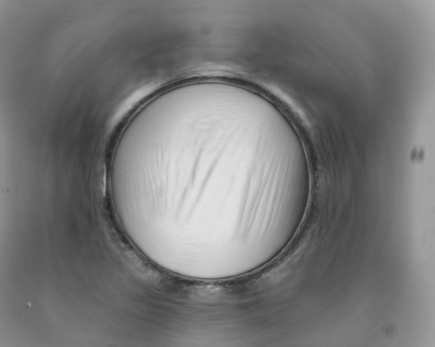 X0000091331317200709071148
