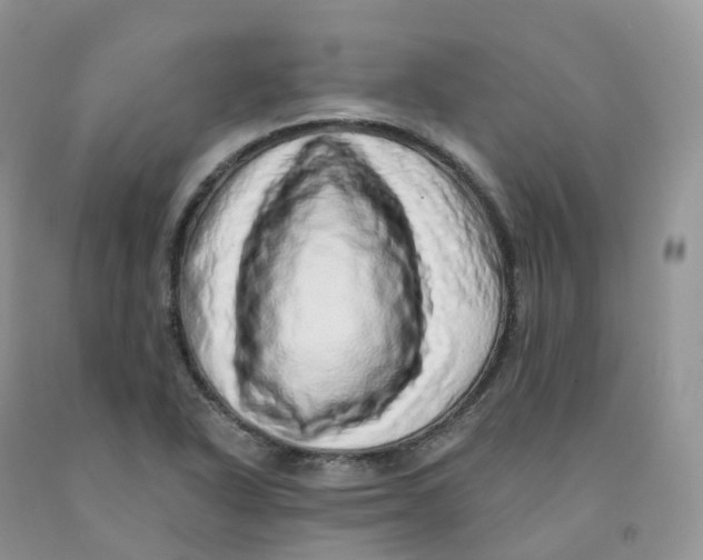 X0000091331318200709071148