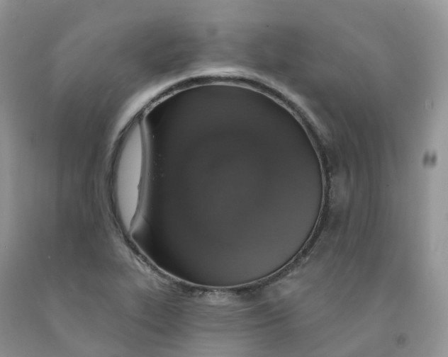 X0000091331319200709071148