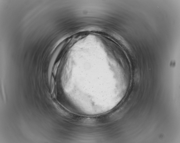 X0000091331321200709071148