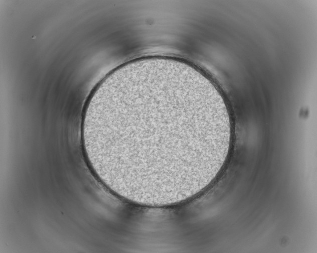 X0000091331322200709071148