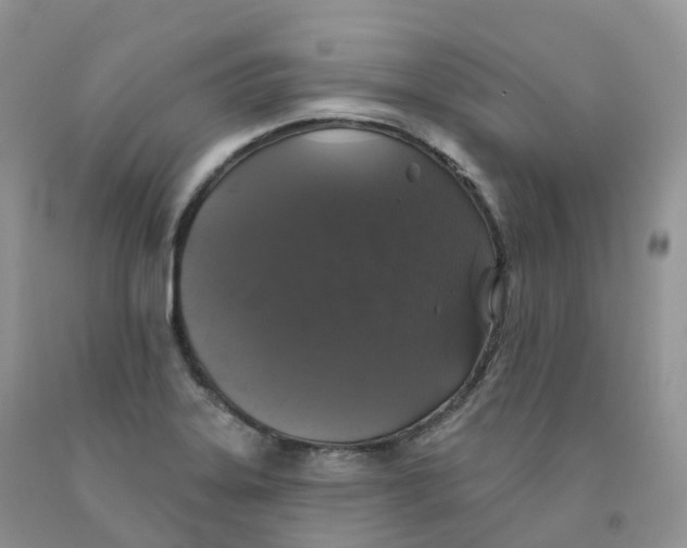 X0000091331323200709071148