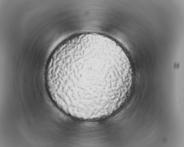 X0000091331325200709071148