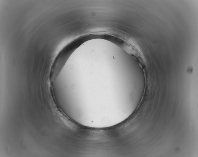 X0000091331328200709071148