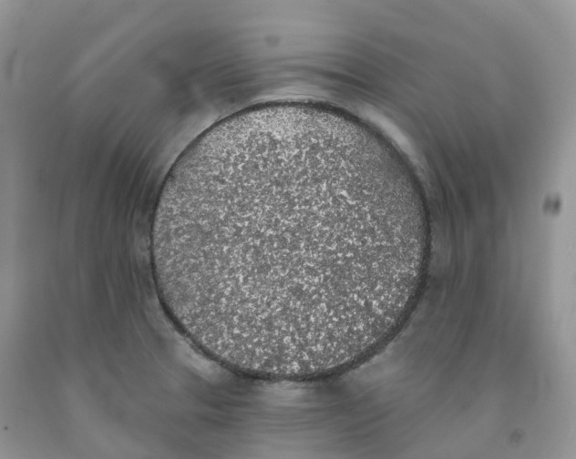 X0000091331329200709071148