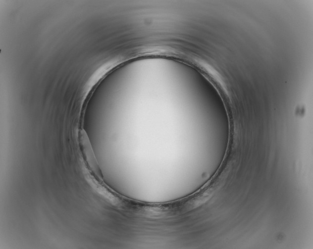 X0000091331330200709071149