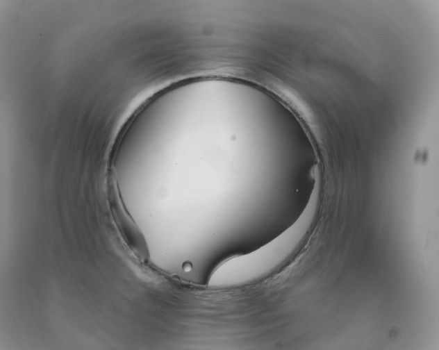 X0000091331332200709071149