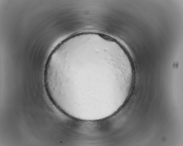 X0000091331333200709071149