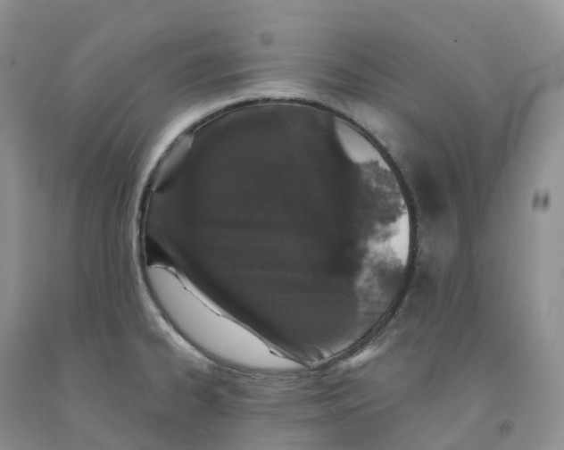 X0000091331334200709071149