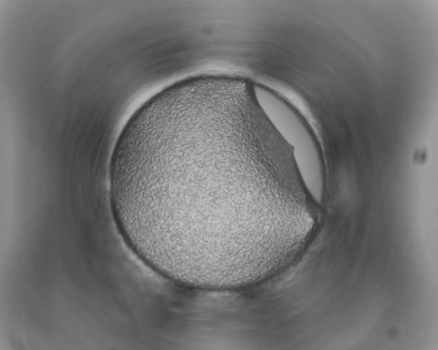 X0000091331335200709071149