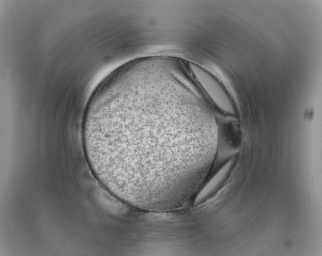 X0000091331336200709071149