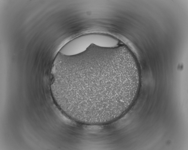 X0000091331337200709071149
