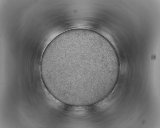 X0000091331338200709071149