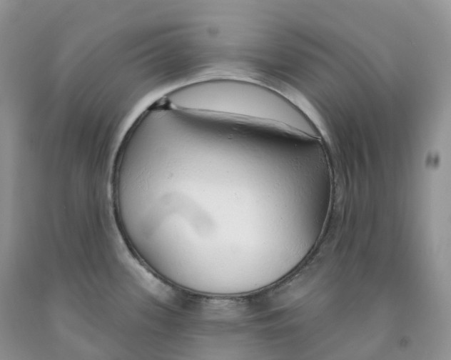 X0000091331339200709071149