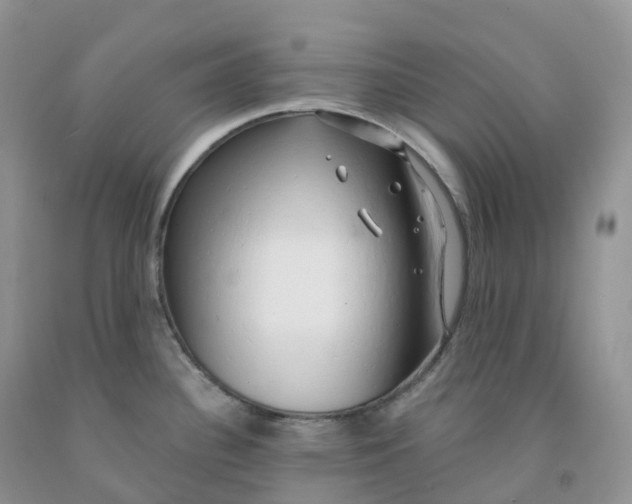 X0000091331340200709071149