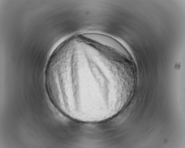X0000091331341200709071149