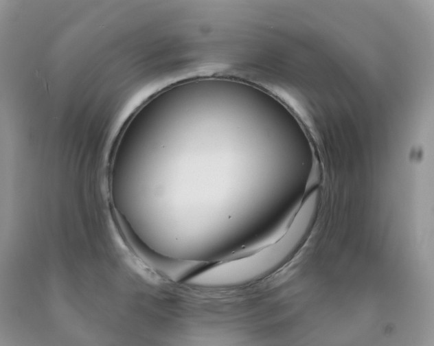 X0000091331342200709071149