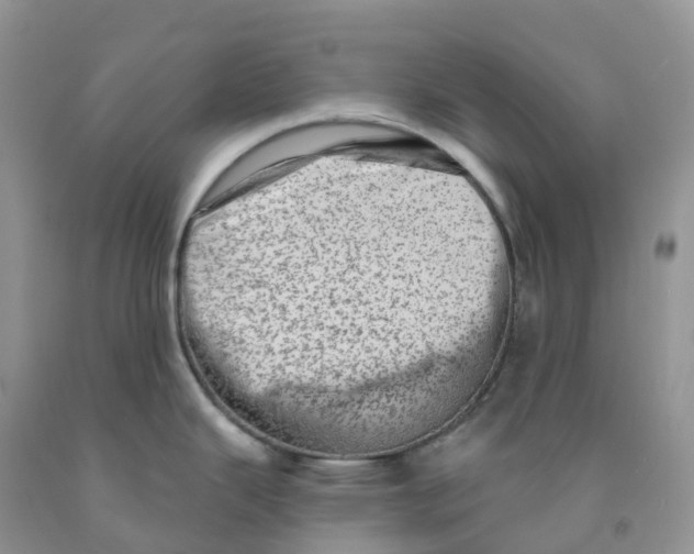 X0000091331343200709071149