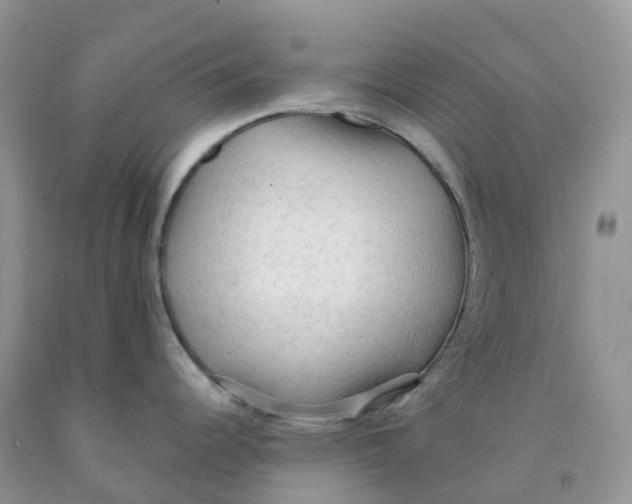 X0000091331344200709071149