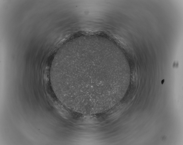 X0000091331346200709071148
