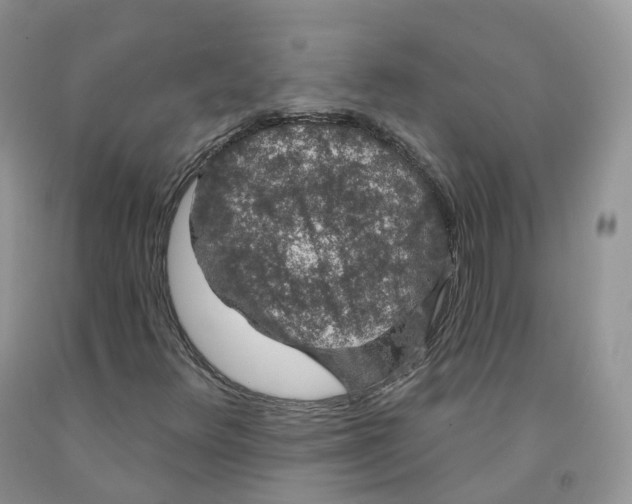 X0000091331348200709071148