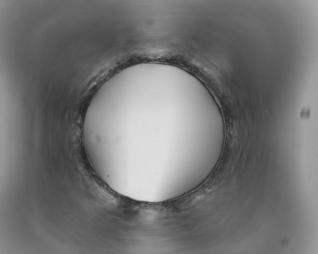 X0000091331349200709071148