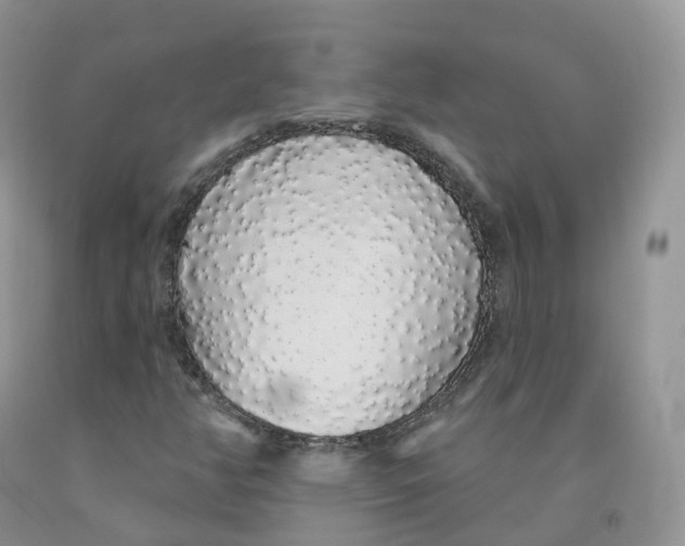 X0000091331350200709071148
