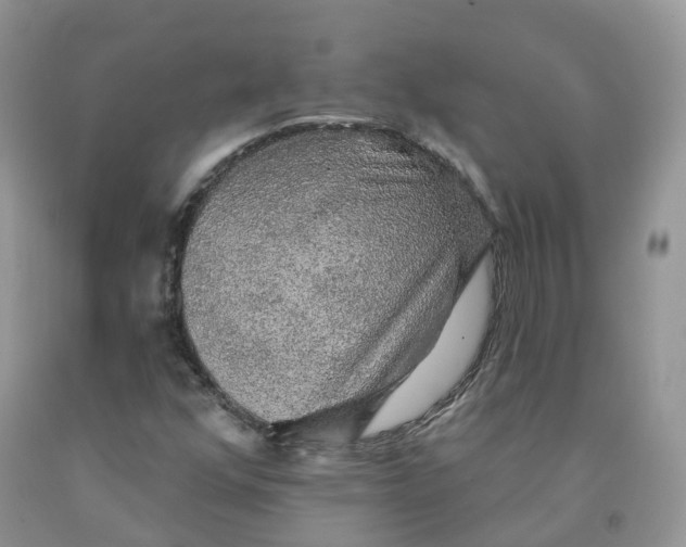 X0000091331352200709071148