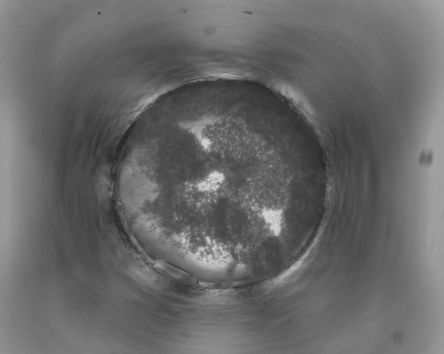 X0000091331353200709071148