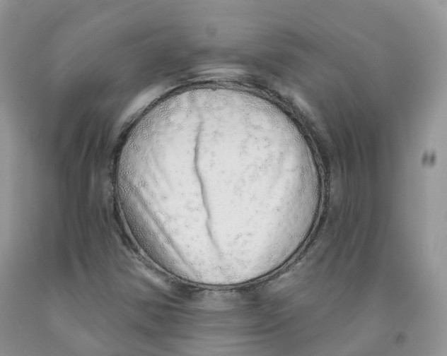 X0000091331354200709071148