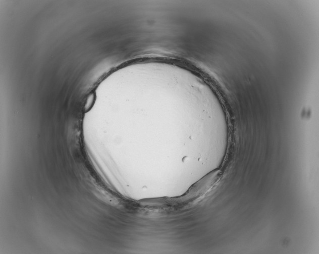X0000091331355200709071148