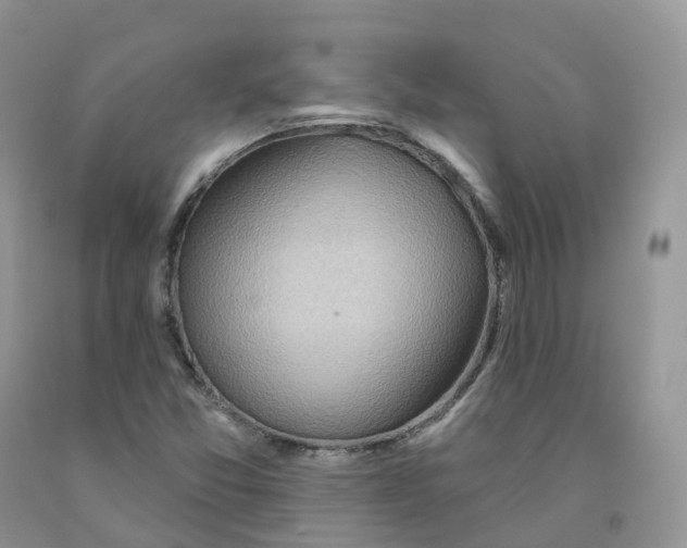 X0000091331357200709071148